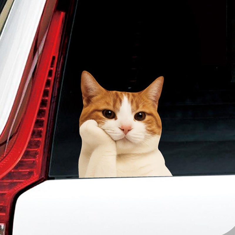Car Funny Cat Meme Sticker, The Cat Meme Sticker Decal Waterproof, Cute Kitten Decals for Cars, Laptop, Wall, Rear Window, Bumper, Humorous Automotive Decoration for Trucks -3.90" - Image 3